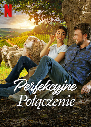 Plakat filmu Perfekcyjne połączenie